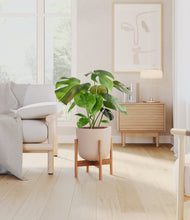 Load image into Gallery viewer, Sandy Pink stand:bamboo