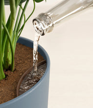 Load image into Gallery viewer, Iron Gray stand:all