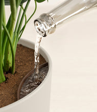 Load image into Gallery viewer, Natural Bamboo stand:all