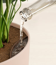 Load image into Gallery viewer, Sandy Pink stand:all