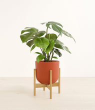 Load image into Gallery viewer, Earth Red stand:bamboo