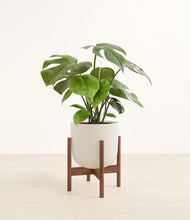 Load image into Gallery viewer, Natural Bamboo stand:walnut