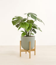 Load image into Gallery viewer, Sage Green stand:bamboo
