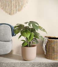 Load image into Gallery viewer, Sandy Pink