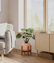 Lade das Bild in den Galerie-Viewer, Calm Rose stand:dark