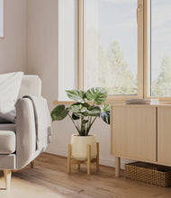 Lade das Bild in den Galerie-Viewer, Almond Green stand:light