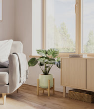 Lade das Bild in den Galerie-Viewer, Turquoise stand:light