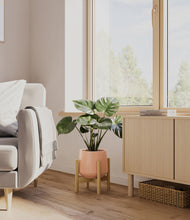 Lade das Bild in den Galerie-Viewer, Calm Rose stand:light
