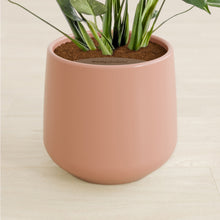 Lade das Bild in den Galerie-Viewer, Calm Rose stand:all