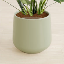 Lade das Bild in den Galerie-Viewer, Turquoise stand:all