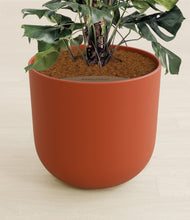 Lade das Bild in den Galerie-Viewer, Earth Red stand:all