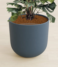 Lade das Bild in den Galerie-Viewer, Iron Gray stand:all