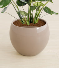 Lade das Bild in den Galerie-Viewer, Desert Brown stand:all