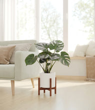 Lade das Bild in den Galerie-Viewer, White stand:dark