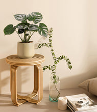 Lade das Bild in den Galerie-Viewer, Almond Green