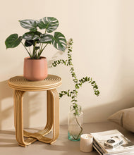 Lade das Bild in den Galerie-Viewer, Calm Rose