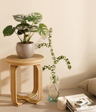 Lade das Bild in den Galerie-Viewer, Desert Brown