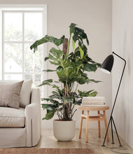 Lade das Bild in den Galerie-Viewer, Natural Bamboo stand:all