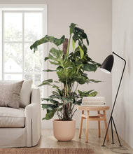 Lade das Bild in den Galerie-Viewer, Sandy Pink stand:all
