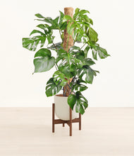 Charger l'image dans la galerie, Natural Bamboo stand:dark