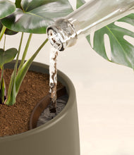 Lade das Bild in den Galerie-Viewer, Olive stand:all