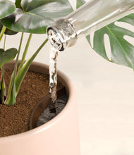 Lade das Bild in den Galerie-Viewer, Gentle Pink stand:all