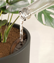 Lade das Bild in den Galerie-Viewer, Dark Olive stand:all