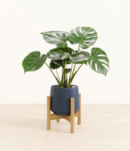 Lade das Bild in den Galerie-Viewer, Deep Navy stand:light