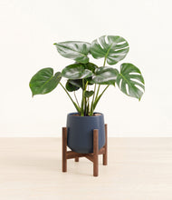 Lade das Bild in den Galerie-Viewer, Deep Navy stand:dark