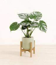 Lade das Bild in den Galerie-Viewer, Turquoise stand:light