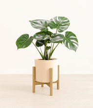 Lade das Bild in den Galerie-Viewer, Cream stand:light