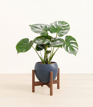 Lade das Bild in den Galerie-Viewer, Deep Navy stand:dark