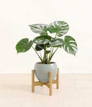 Lade das Bild in den Galerie-Viewer, Deep Ocean stand:light