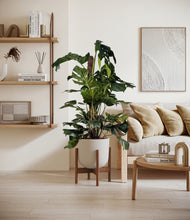 Lade das Bild in den Galerie-Viewer, Natural Bamboo stand:walnut