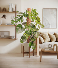 Charger l'image dans la galerie, Natural Bamboo stand:dark