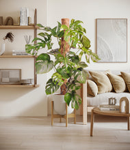 Charger l'image dans la galerie, Natural Bamboo stand:light