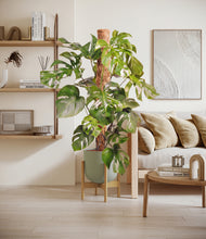 Charger l'image dans la galerie, Sage Green stand:light