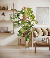 Charger l'image dans la galerie, Sandy Pink stand:light