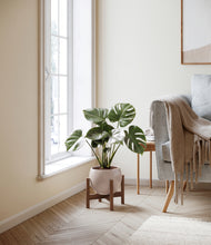 Lade das Bild in den Galerie-Viewer, Desert Brown stand:dark