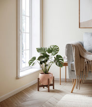 Lade das Bild in den Galerie-Viewer, Calm Rose stand:dark