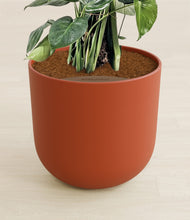 Lade das Bild in den Galerie-Viewer, Earth Red stand:all