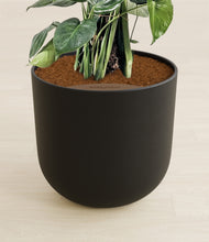 Lade das Bild in den Galerie-Viewer, Stone Black stand:all