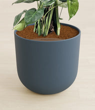 Lade das Bild in den Galerie-Viewer, Iron Gray stand:all