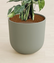 Lade das Bild in den Galerie-Viewer, Sage Green stand:all