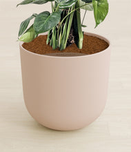 Lade das Bild in den Galerie-Viewer, Sandy Pink stand:all