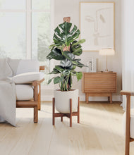 Lade das Bild in den Galerie-Viewer, Natural Bamboo stand:walnut