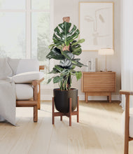 Lade das Bild in den Galerie-Viewer, Stone Black stand:walnut