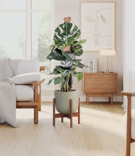 Lade das Bild in den Galerie-Viewer, Sage Green stand:walnut