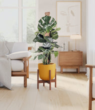 Lade das Bild in den Galerie-Viewer, Sunset Orange stand:walnut
