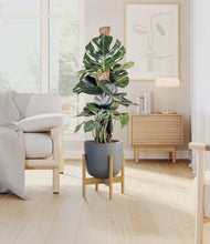 Lade das Bild in den Galerie-Viewer, Sage Green stand:bamboo